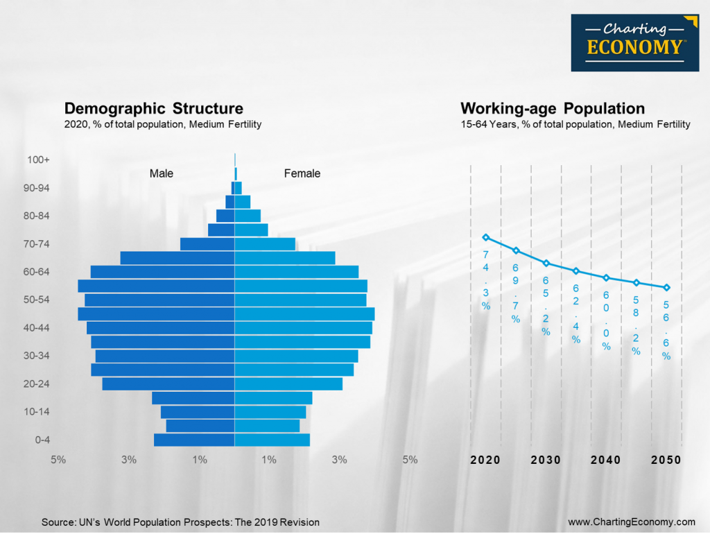 What is the demographic structure of Singapore? Charting Economy